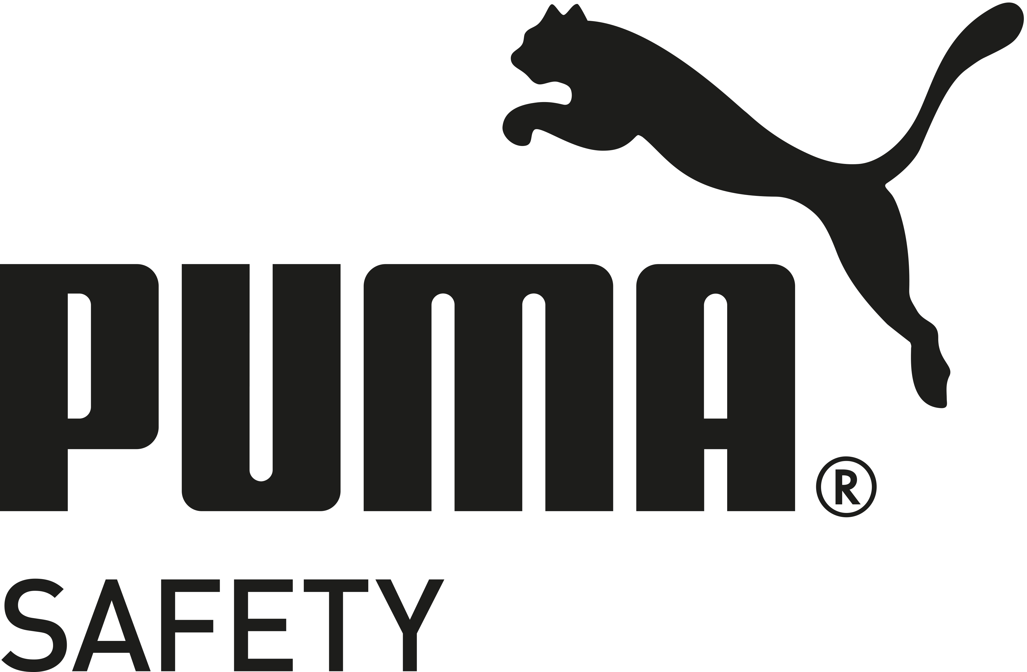 Puma Puma